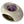 ILLATGYERTYA, ILLATVIASZ